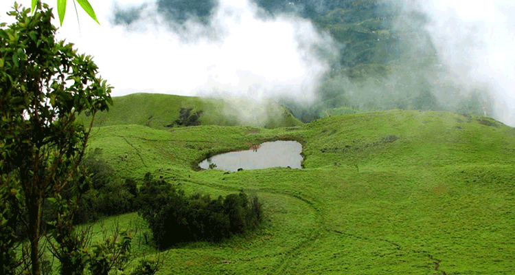 Chembra Peak Wayanad