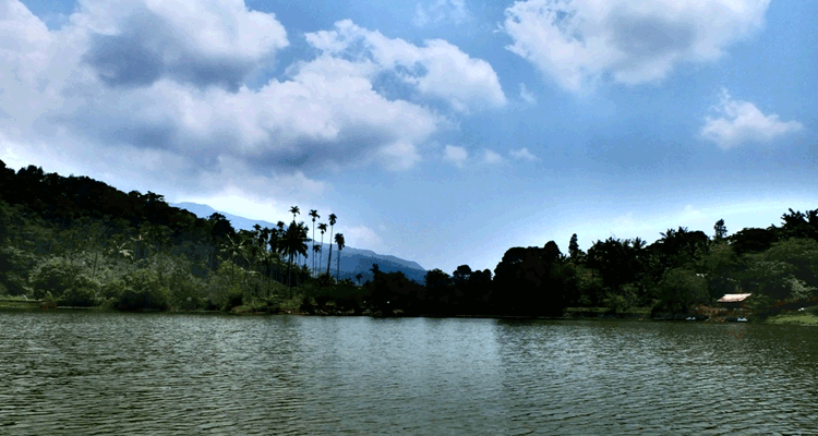 Karalad Lake wayanad