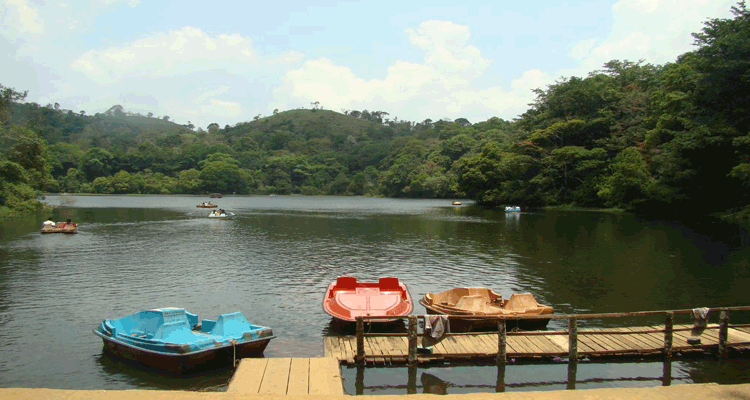 Pookode Lake Wayanad 