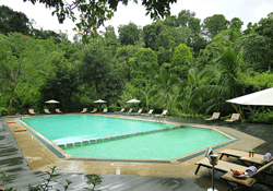 vythiri village swimming pool