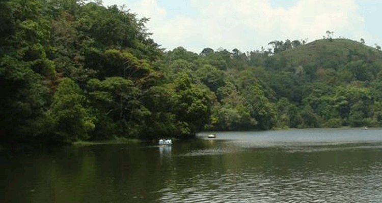 Karalad lake wayanad